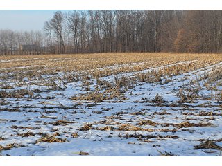 Property photo 50 - FARMLAND AUCTION, 60+/- Acres in 6 Tracts ranging from 4 to 20 acres & in combinations!